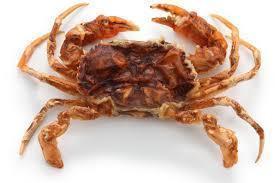 Soft Shell Crab