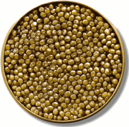 Caviar Osetra Amber 1oz