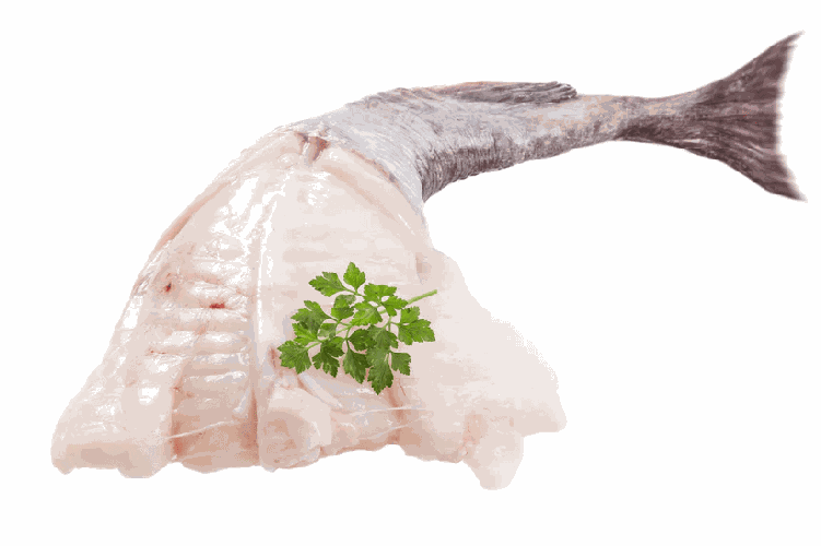 Fresh Monkfish Tails