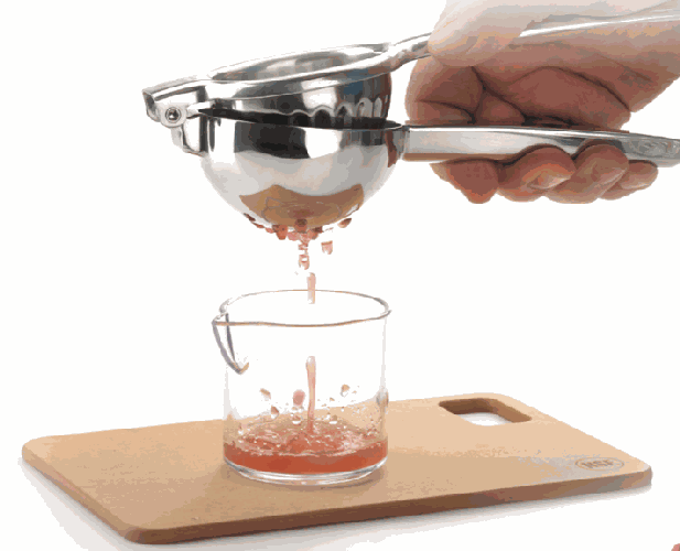 Barfly Deluxe Stainless Juicer