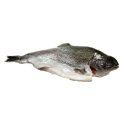 Fresh Trout Whole Boneless