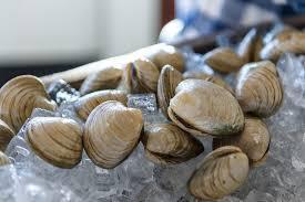 Fresh Clams Littleneck 25ct