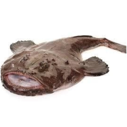 Fresh whole monkfish