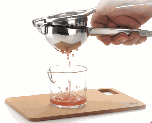 Barfly Deluxe Stainless Juicer