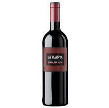 La Planta Ribera Del Duero