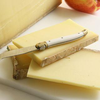 Swiss Gruyere