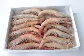 Langostino 10/15 4lbs Box