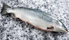 Fresh Salmon Faroe Fillet