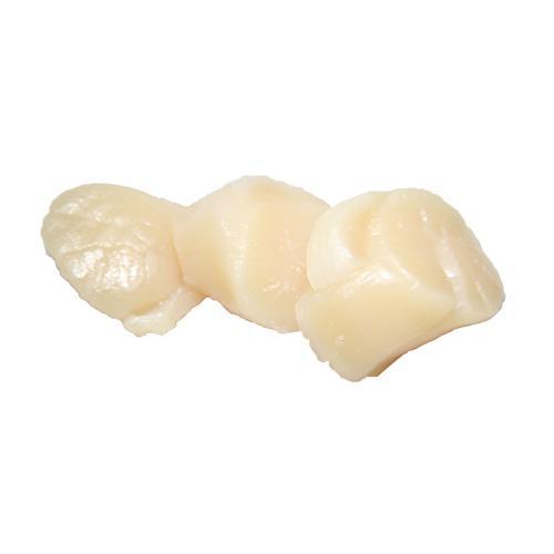 Fresh Scallops U10 Dry