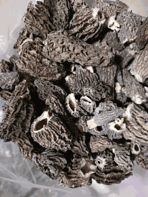 Mushroom Morel Dried 1lb